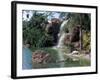 Bird Lagoon, Metrozoo, Miami, FL-Mark Gibson-Framed Photographic Print