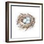 Bird Life I-Ethan Harper-Framed Art Print