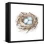 Bird Life I-Ethan Harper-Framed Stretched Canvas