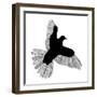 Bird Line Art-Florent Bodart-Framed Giclee Print
