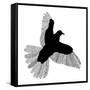 Bird Line Art-Florent Bodart-Framed Stretched Canvas