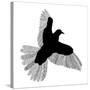 Bird Line Art-Florent Bodart-Stretched Canvas