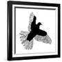 Bird Line Art-Florent Bodart-Framed Giclee Print