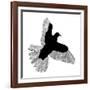 Bird Line Art-Florent Bodart-Framed Giclee Print