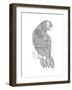 Bird Macaw-Neeti Goswami-Framed Art Print