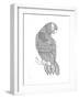 Bird Macaw-Neeti Goswami-Framed Art Print