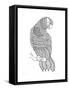 Bird Macaw-Neeti Goswami-Framed Stretched Canvas