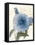 Bird Mail Three-Jace Grey-Framed Stretched Canvas