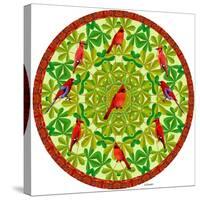 Bird Mandala II-David Sheskin-Stretched Canvas