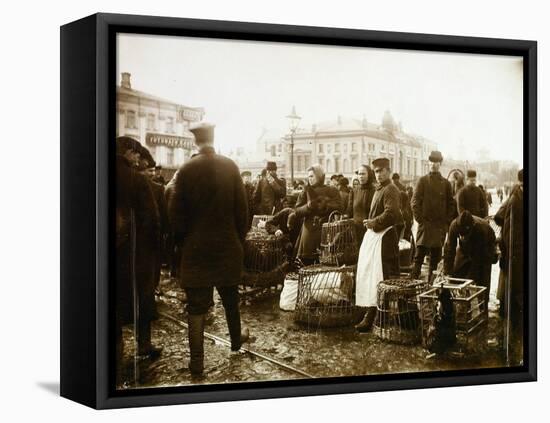 Bird Market, Trubnaya Square, Moscow, Russia, 1908-null-Framed Stretched Canvas