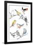 Bird Melody-Sandra Jacobs-Framed Giclee Print