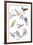 Bird Melody-Sandra Jacobs-Framed Giclee Print