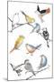 Bird Melody-Sandra Jacobs-Mounted Giclee Print