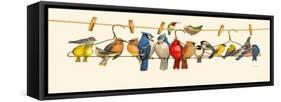 Bird Menagerie II-Wendy Russell-Framed Stretched Canvas