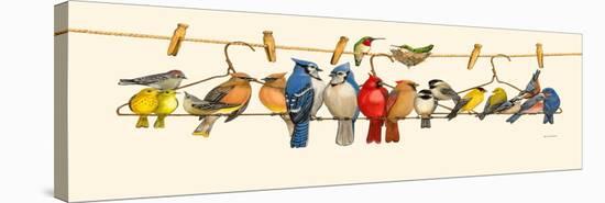 Bird Menagerie II-Wendy Russell-Stretched Canvas