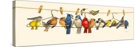 Bird Menagerie II-Wendy Russell-Stretched Canvas