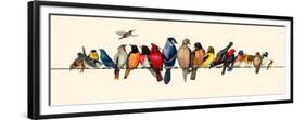 Bird Menagerie III-Wendy Russell-Framed Premium Giclee Print