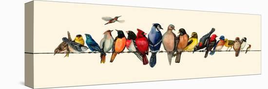 Bird Menagerie III-Wendy Russell-Stretched Canvas