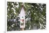 Bird, Nest Box with Holiday Swag in Winter, Marion, Illinois, Usa-Richard ans Susan Day-Framed Photographic Print