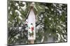 Bird, Nest Box with Holiday Swag in Winter, Marion, Illinois, Usa-Richard ans Susan Day-Mounted Photographic Print