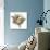 Bird Nest Study I-Ethan Harper-Art Print displayed on a wall