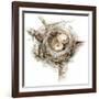 Bird Nest Study I-Ethan Harper-Framed Art Print