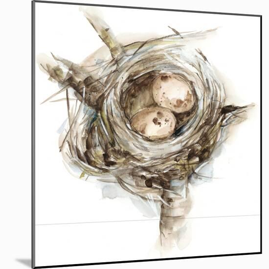 Bird Nest Study I-Ethan Harper-Mounted Art Print