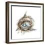 Bird Nest Study II-Ethan Harper-Framed Art Print