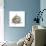 Bird Nest Study II-Ethan Harper-Art Print displayed on a wall