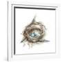 Bird Nest Study II-Ethan Harper-Framed Art Print