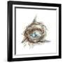 Bird Nest Study II-Ethan Harper-Framed Art Print