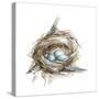 Bird Nest Study II-Ethan Harper-Stretched Canvas