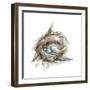 Bird Nest Study II-Ethan Harper-Framed Premium Giclee Print
