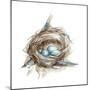 Bird Nest Study II-Ethan Harper-Mounted Premium Giclee Print