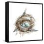 Bird Nest Study II-Ethan Harper-Framed Stretched Canvas