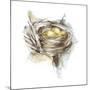 Bird Nest Study III-Ethan Harper-Mounted Art Print