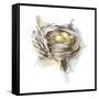 Bird Nest Study III-Ethan Harper-Framed Stretched Canvas