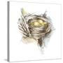 Bird Nest Study III-Ethan Harper-Stretched Canvas