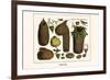 Bird Nests-Albertus Seba-Framed Art Print