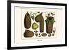 Bird Nests-Albertus Seba-Framed Art Print