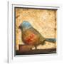 Bird of Collage I-Patricia Pinto-Framed Art Print