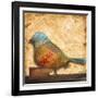 Bird of Collage I-Patricia Pinto-Framed Art Print