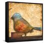 Bird of Collage I-Patricia Pinto-Framed Stretched Canvas