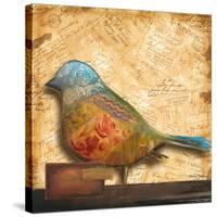 Bird of Collage I-Patricia Pinto-Stretched Canvas
