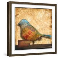 Bird of Collage I-Patricia Pinto-Framed Art Print