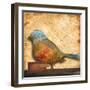 Bird of Collage I-Patricia Pinto-Framed Art Print