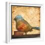 Bird of Collage I-Patricia Pinto-Framed Art Print