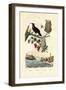 Bird of Paradise, 1833-39-null-Framed Giclee Print