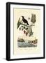 Bird of Paradise, 1833-39-null-Framed Giclee Print