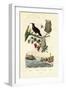 Bird of Paradise, 1833-39-null-Framed Giclee Print